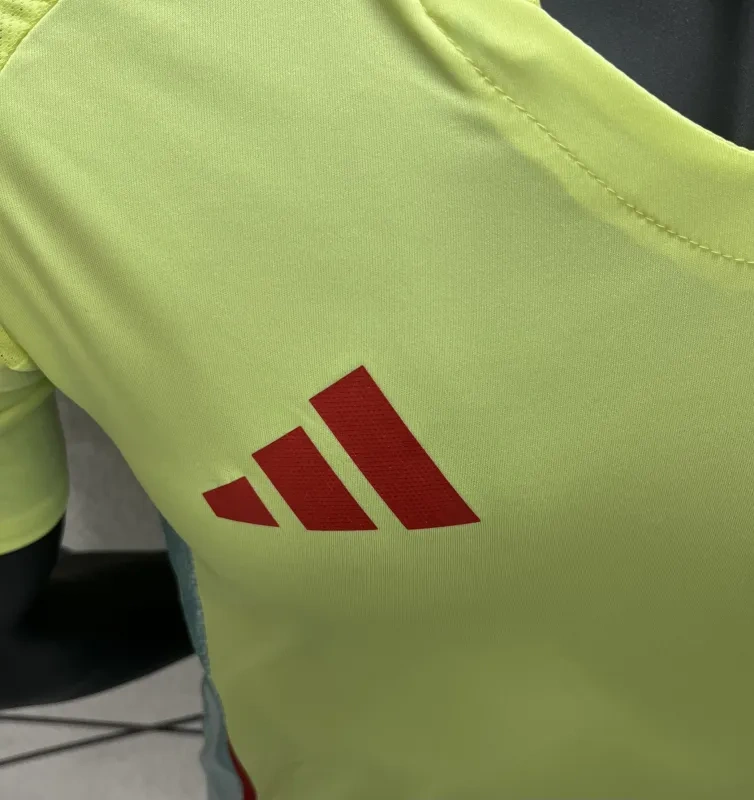 2024 Spain Nation Away Jersey Player Version EURO