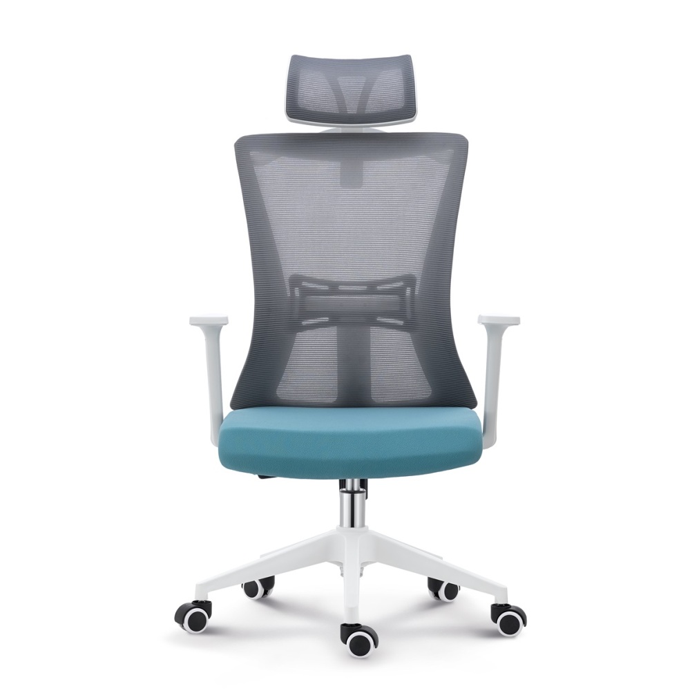 Best Ergonomic Office Chairs High Back Mesh ExecutiveSwivel Office Chair