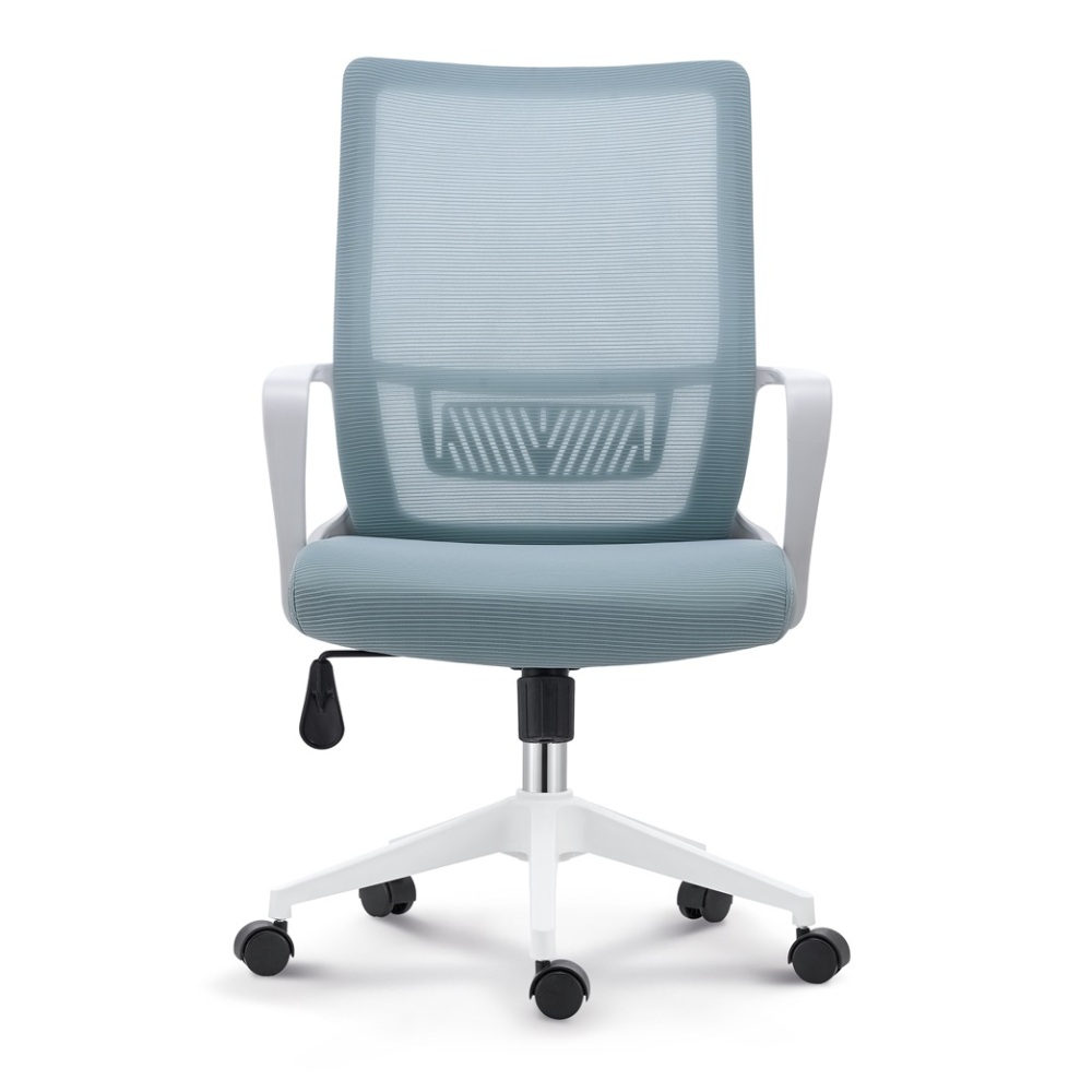 Office Chair with Padded Seat and Mesh Backrest