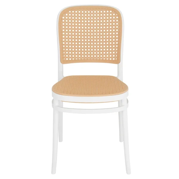 Contemporary Plastic Stable Armless Chair