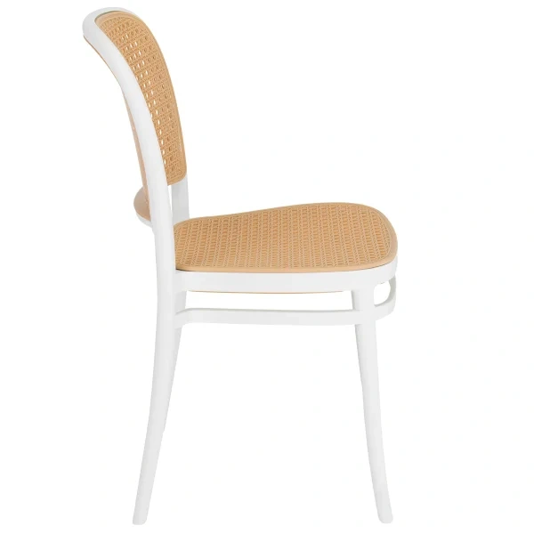 Contemporary Plastic Stable Armless Chair