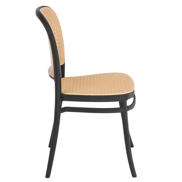 Contemporary Plastic Stable Armless Chair