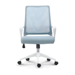 White+Light Blue