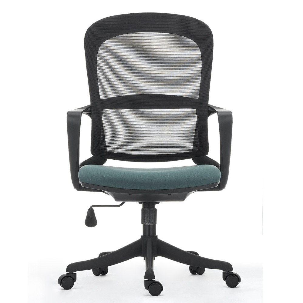Ergonomic Office Chair in Modern Style with Arms and Wheels