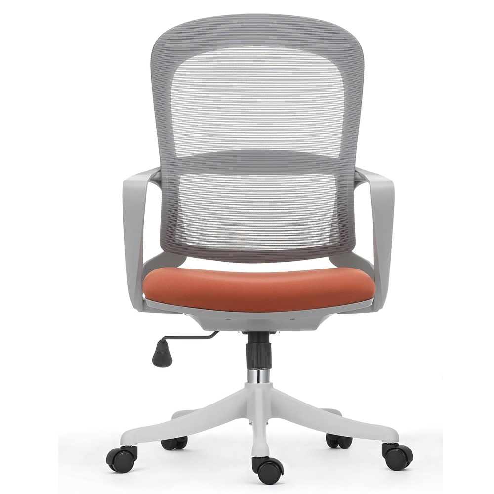 Ergonomic Office Chair in Modern Style with Arms and Wheels