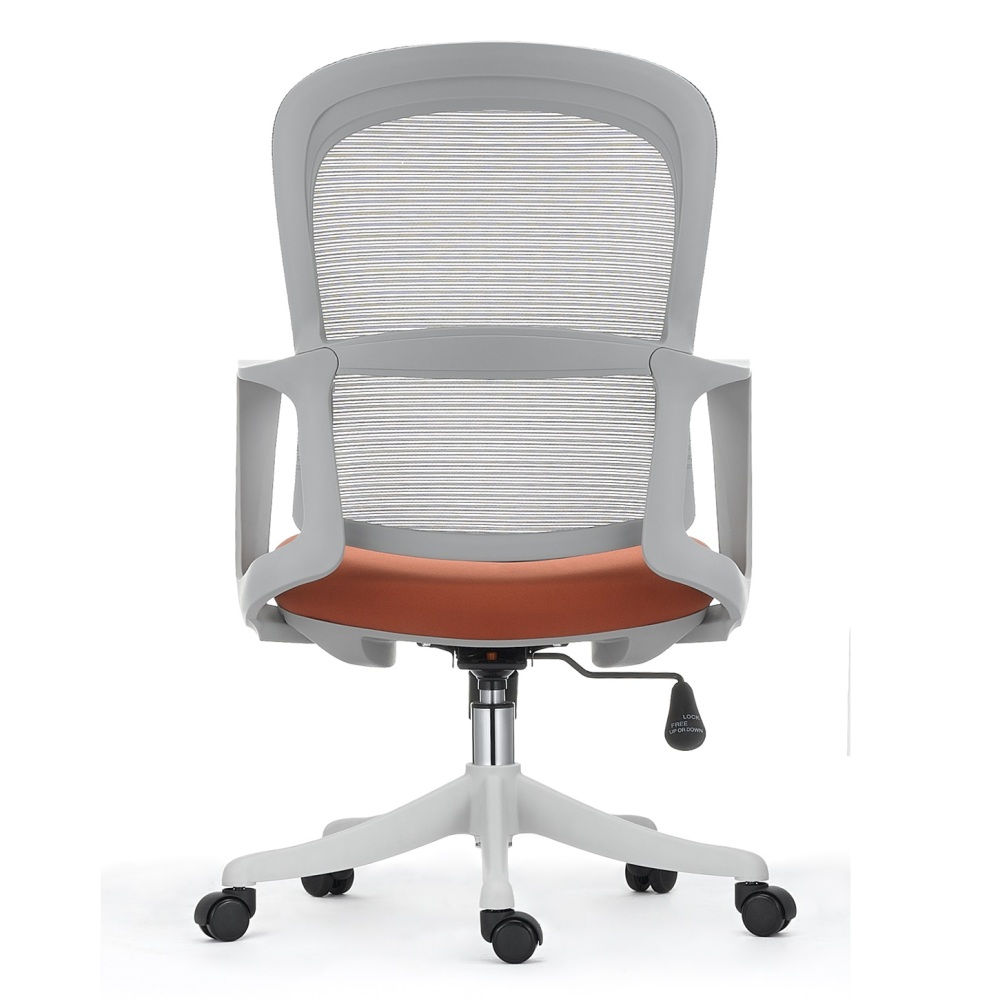 Ergonomic Office Chair in Modern Style with Arms and Wheels