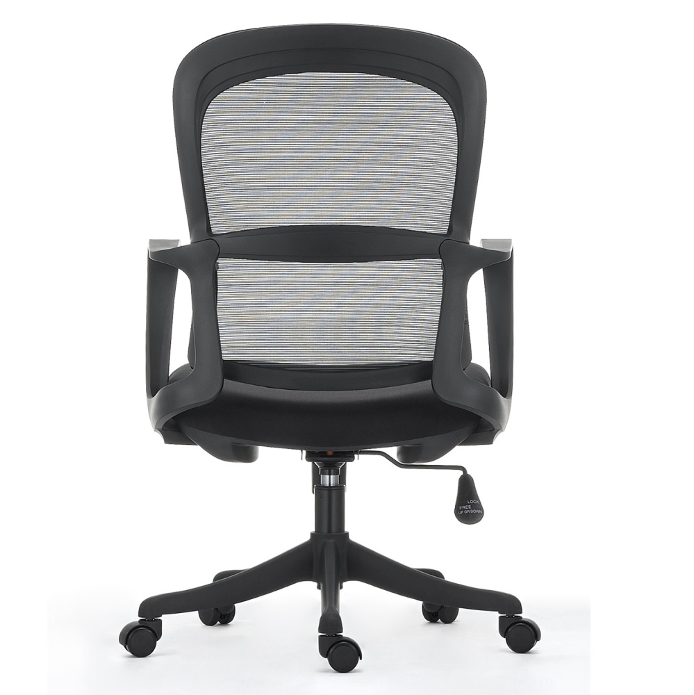 Ergonomic Office Chair in Modern Style with Arms and Wheels