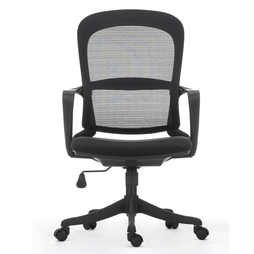 Ergonomic Office Chair in Modern Style with Arms and Wheels