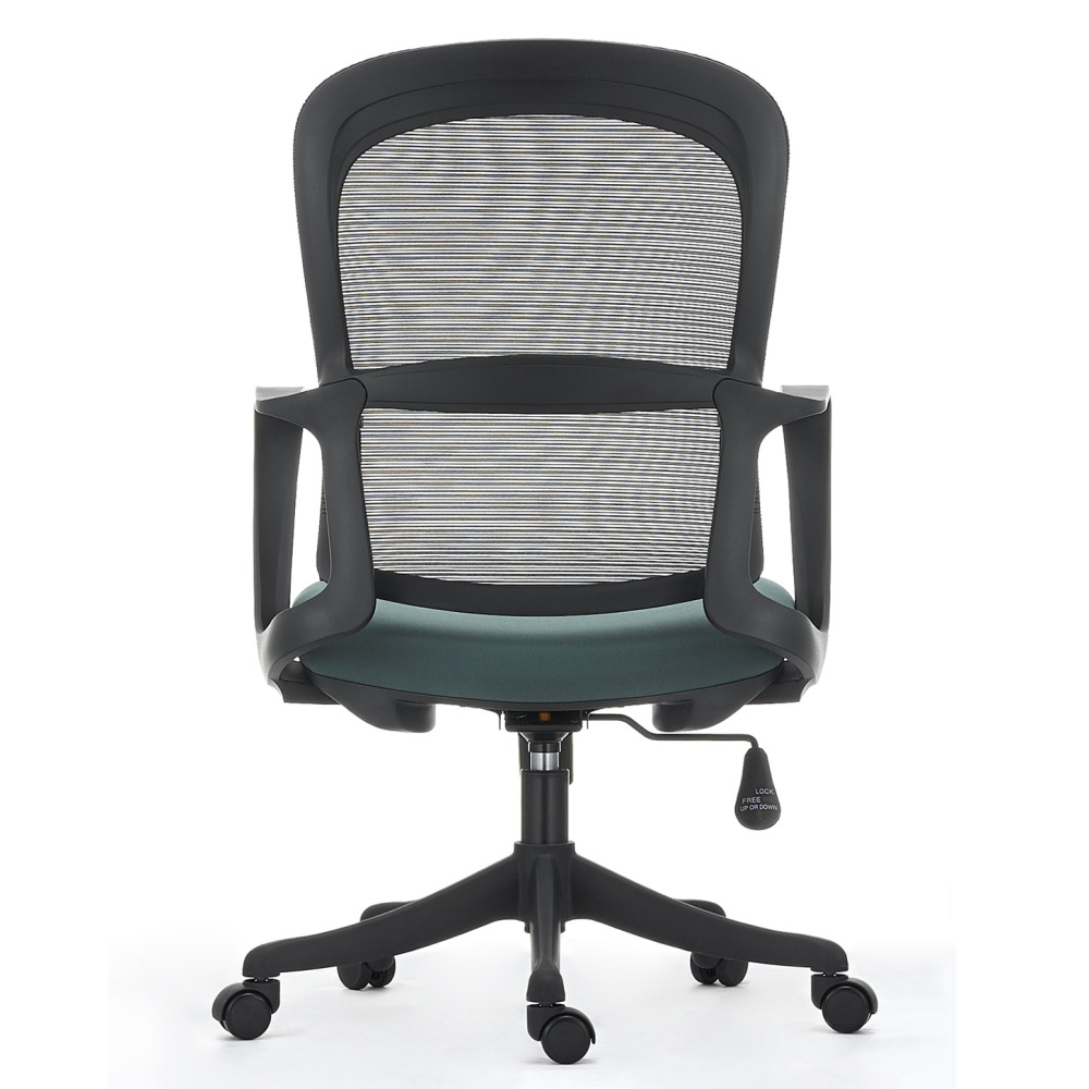 Ergonomic Office Chair in Modern Style with Arms and Wheels