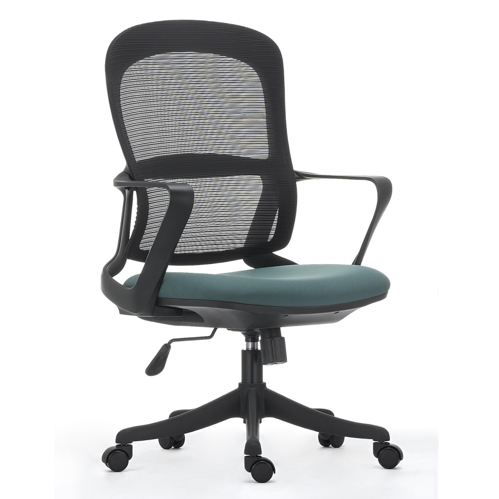 Ergonomic Office Chair in Modern Style with Arms and Wheels