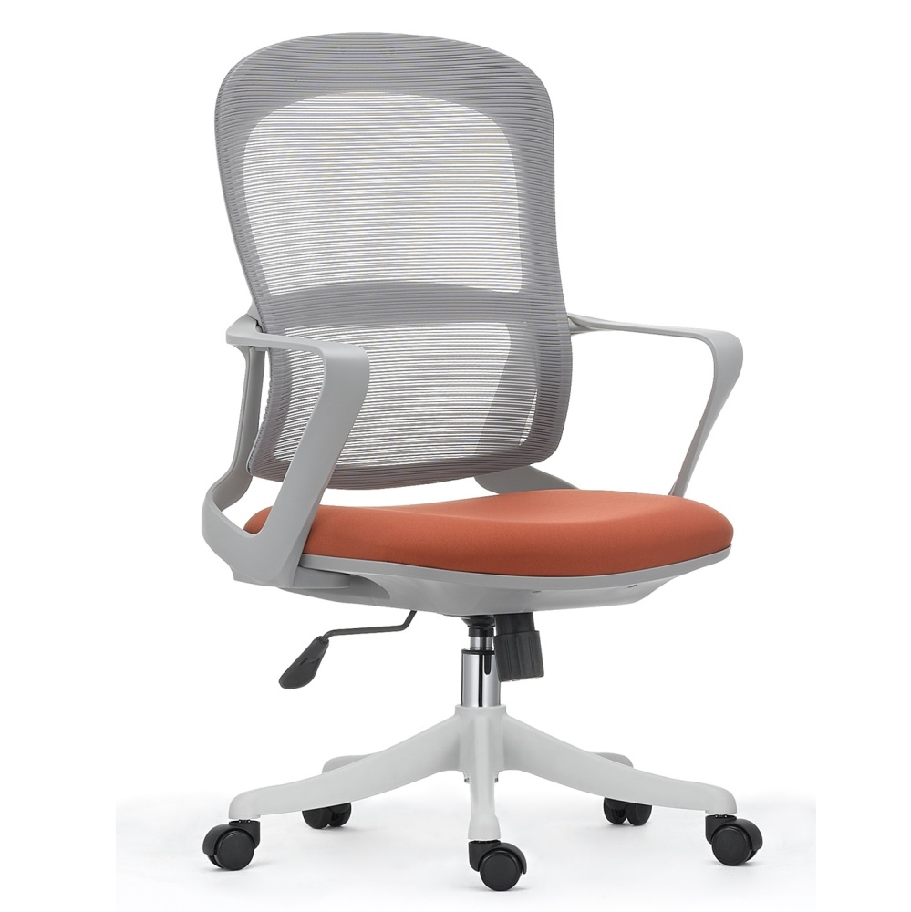 Ergonomic Office Chair in Modern Style with Arms and Wheels