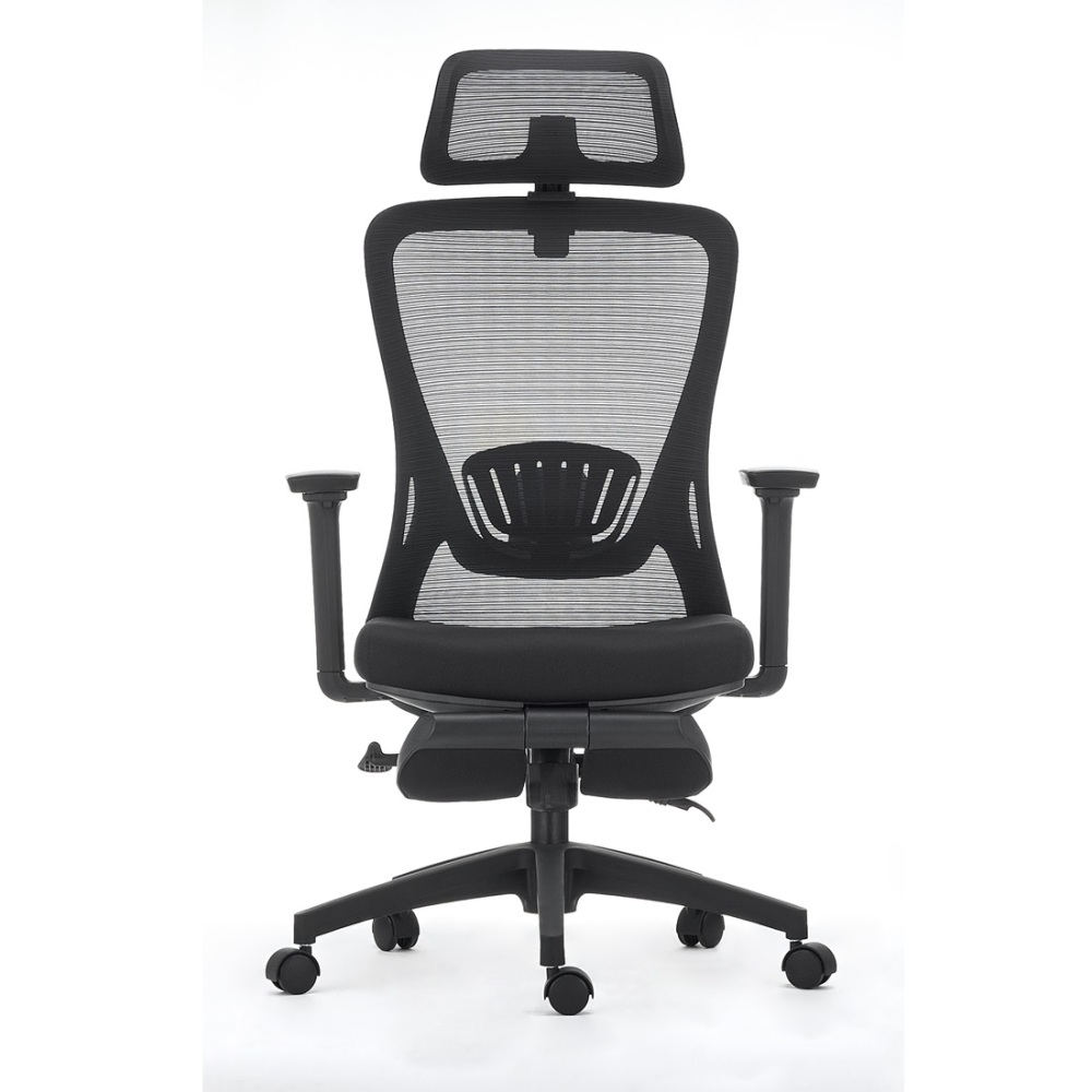 Ergonomic Office Chair with Footrest High Back Desk Chair Thick Seat Cushion and Adjustable Headrest Task Chair