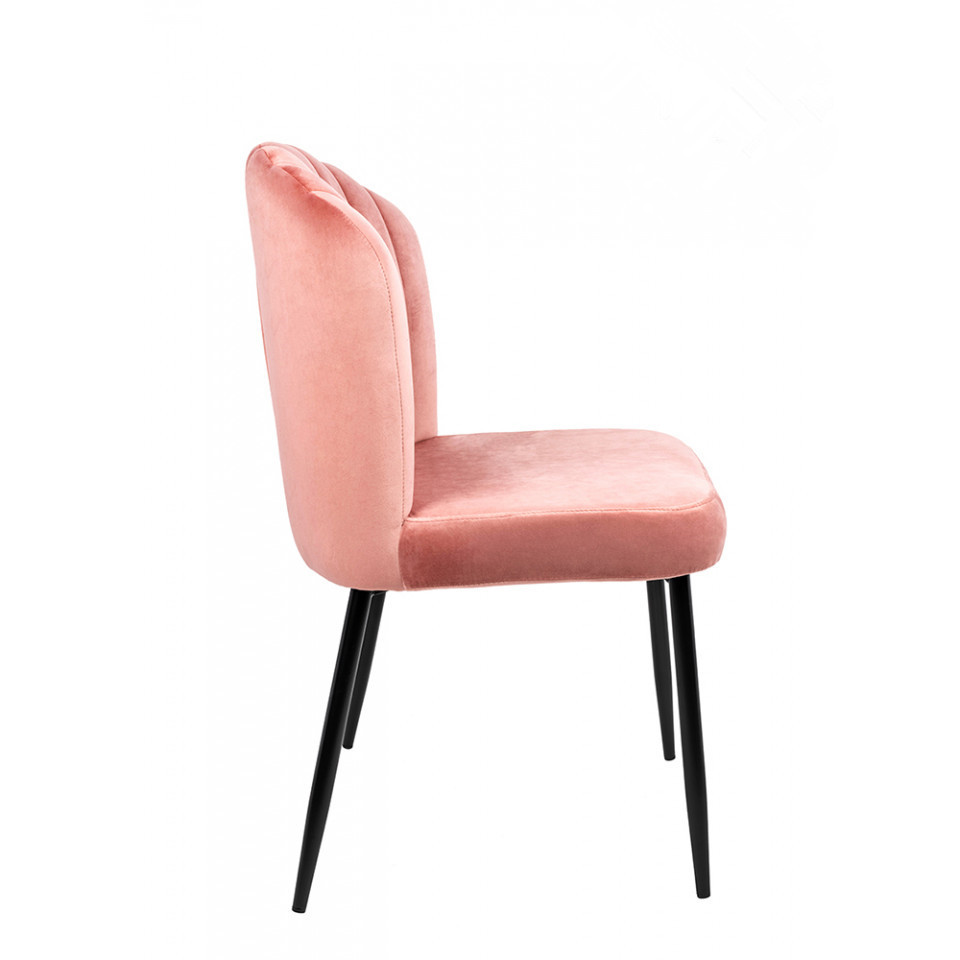 Upholstered Chair Velvet Matt Black Metal Legs