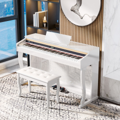 BLANTH DIGITAL PIANOBL-8801-C paint