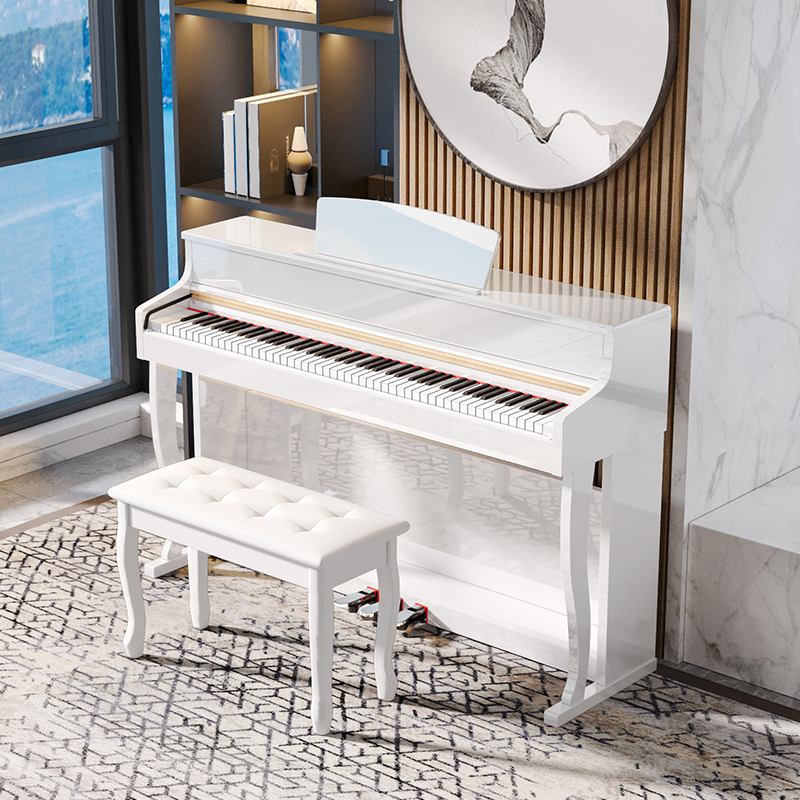 BLANTH DIGITAL PIANOBL-8803-C paint