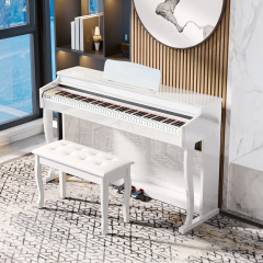 BLANTH DIGITAL PIANOBL-8805-C paint