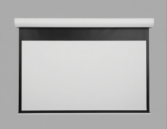 LGY Motorized Screen