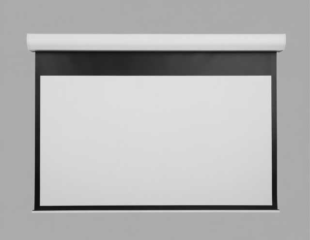 LGY Motorized Screen