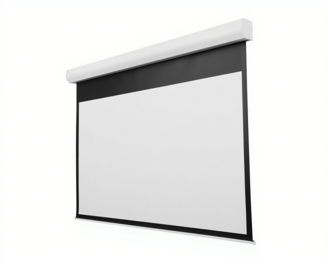 LGY Motorized Screen