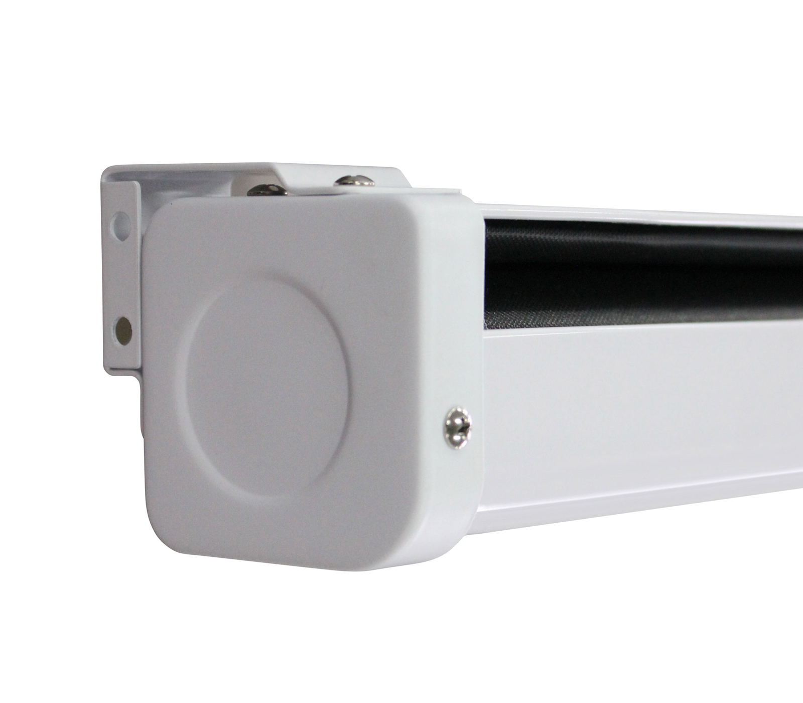 C Series Motorized Screen