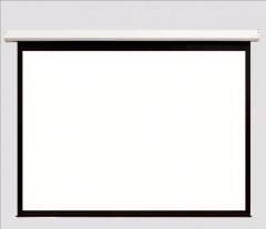 D Series Motorized Screen