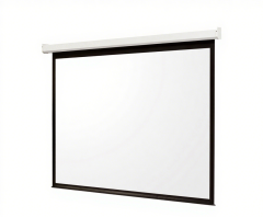 D Series Motorized Screen