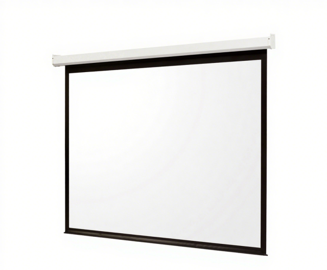 D Series Motorized Screen