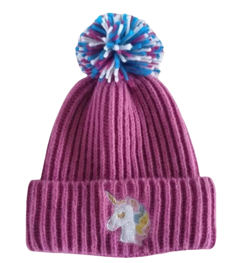 Kid's Embroidered knitted hat