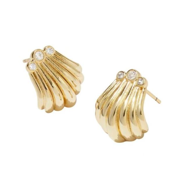 Seashell Hoop Earrings