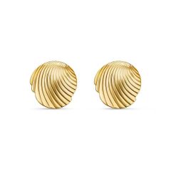 Gold Plated seashell Earrings