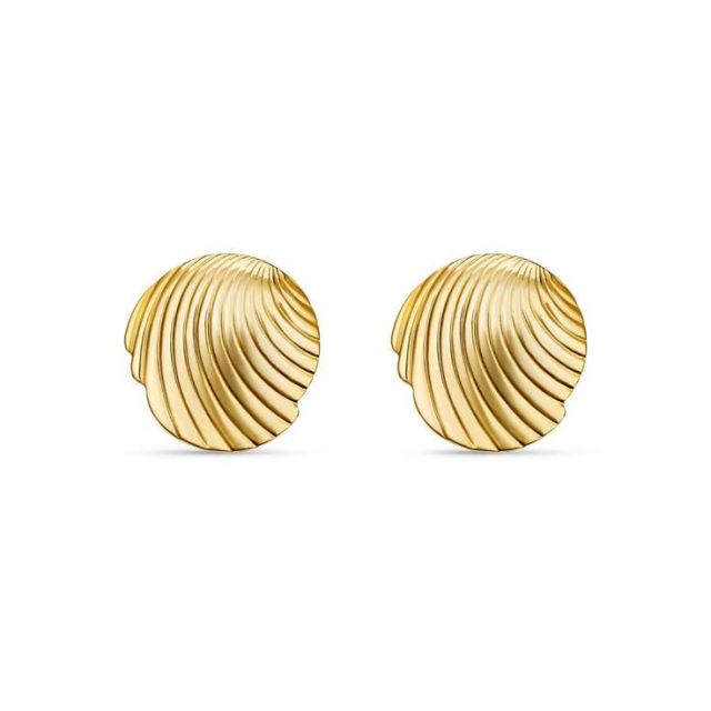 Gold Plated seashell Earrings