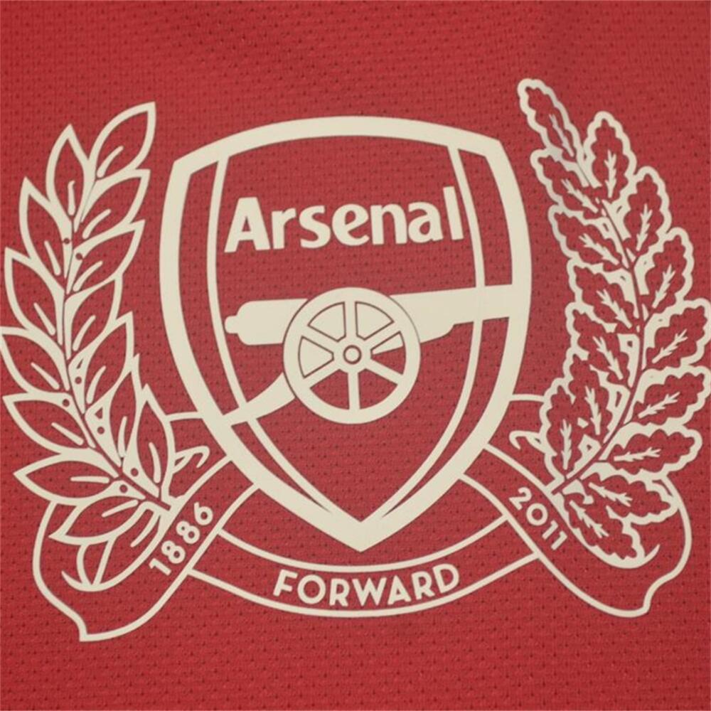 Arsenal 2011/12 Home