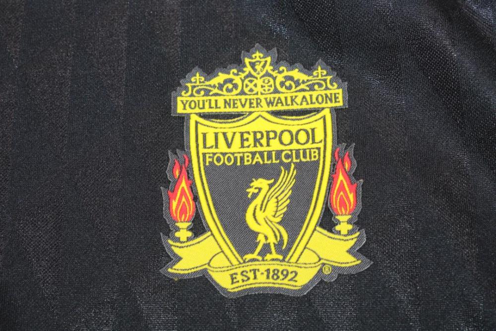 Liverpool 2010/11 Third