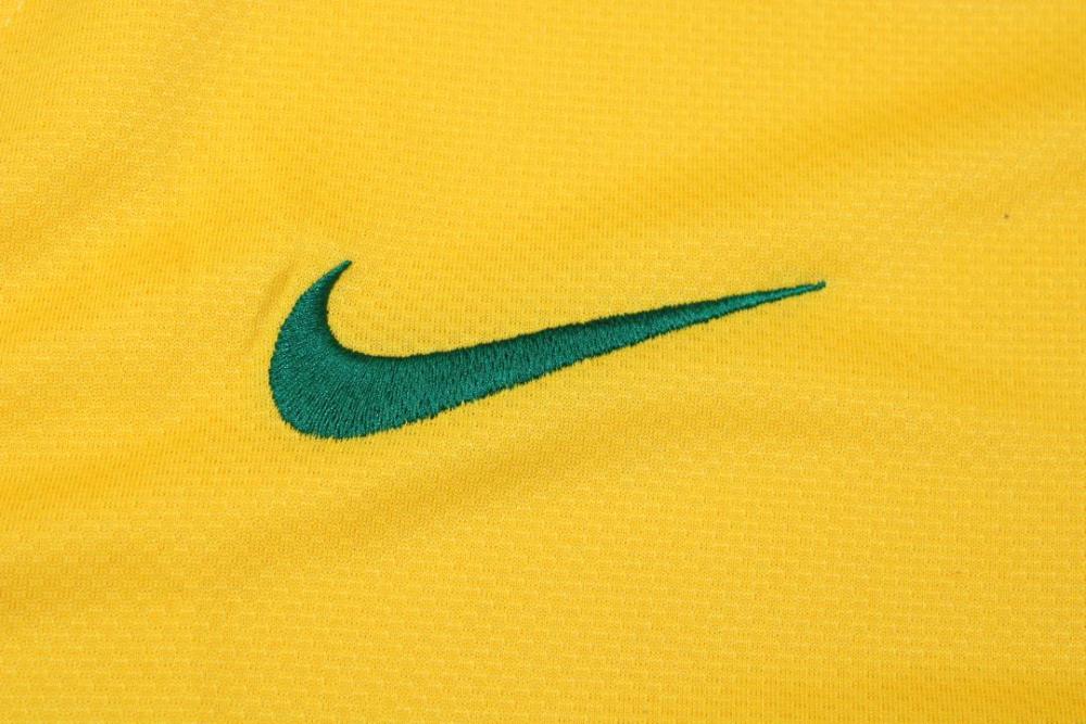 Brazil 2010 Home