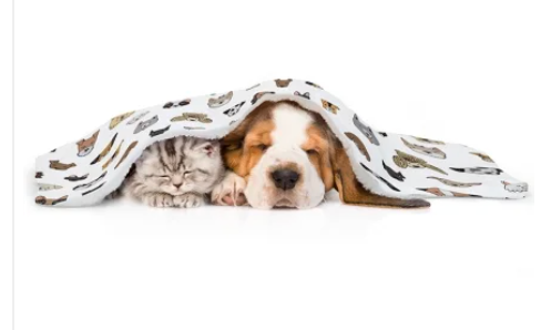 Sublimation Pet Blanket–Arctic Fleece Lined POD Blank