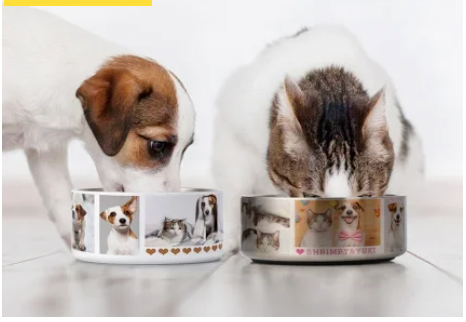 Sublimation Dog Bowl–42oz Stainless Steel POD Blank