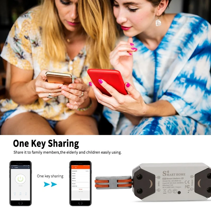 Smart Life Switch with RF Remote Control For DIY Home Devices to Work With Alexa Google Home