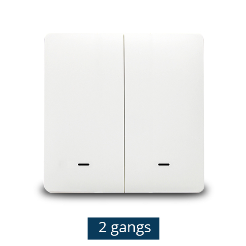Zemismart WiFi Wall Push Switch Alexa Google Home Tuya Light switches Three Gangs Two Gangs One Gang Physical Button
