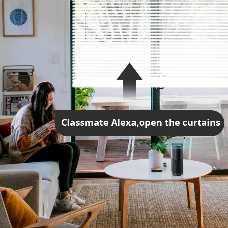 Zemismart WiFi Electric Smart Rutters Punch Free Curtain Built in Battery with Aluminum Blinds Shade  Alexa Google Home Timer App Control