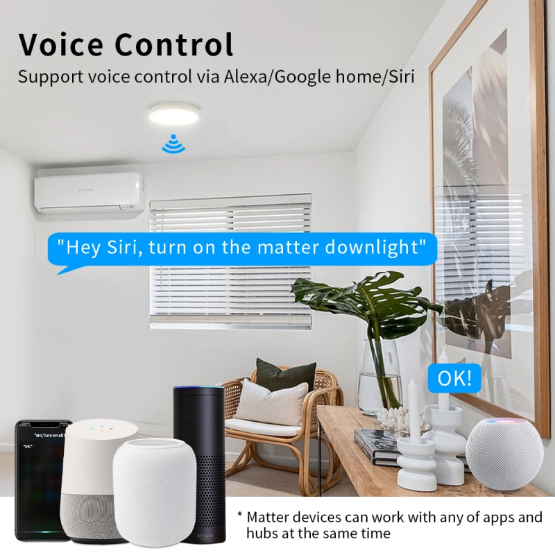 Zemismart WiFi Matter LED Recessed Ceiling Light 2.5 3.5 4 Inch Round Downlight  RGBW Dimmable Alexa HomeKit Google Home SmartThings Control