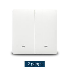 EU 2 gangs