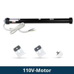 110v motor