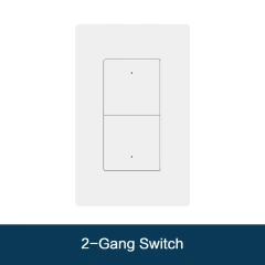 2 gang