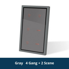 4 Gang with 2 Scene gr