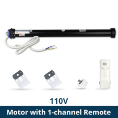 110v motor with R1
