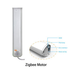 Zigbee motor
