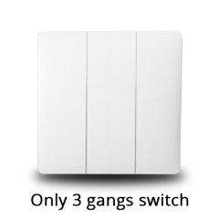 Three gangs Switch
