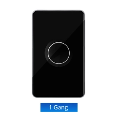 1gang