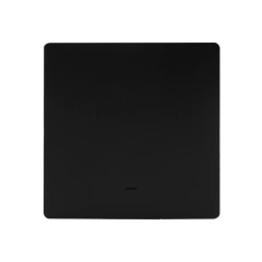 Black 1-Gang