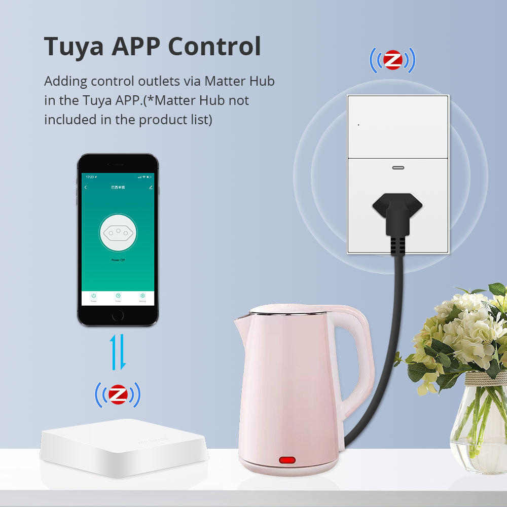 Zemismart Zigbee Smart Socket 10A Brazil Outlet with Type C Charging Port with Neutral works with Tuya Home Smart Life App Remote Control